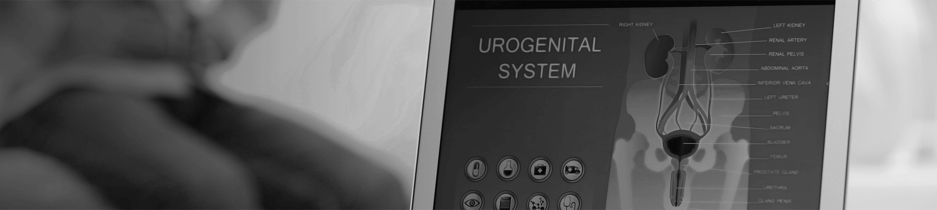 Urology